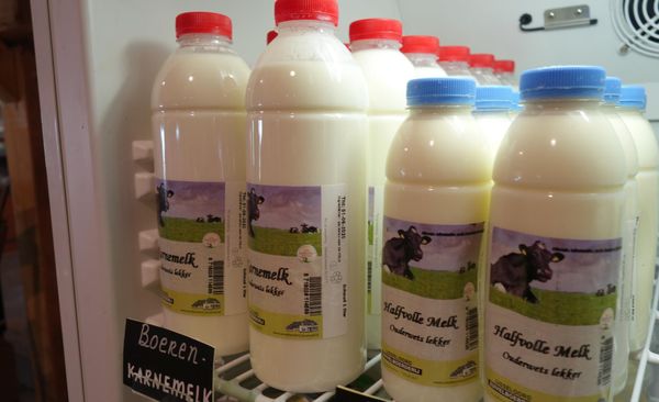 Milk from 네덜란드 supplied by Landwinkel en Schenkerij De Kersenhut - Liquid 우유