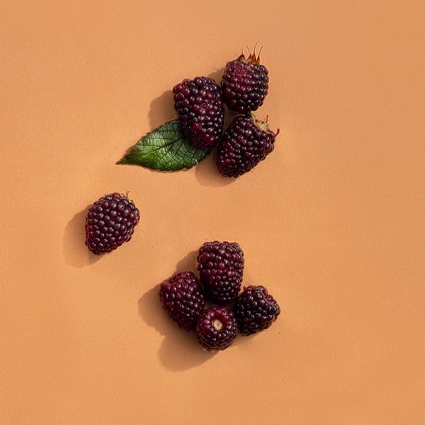 BLACKBERRY PULP from 에콰도르 supplied by Healthy Food Marcalman Ecuador SAS - Pulp 냉동 블랙베리
