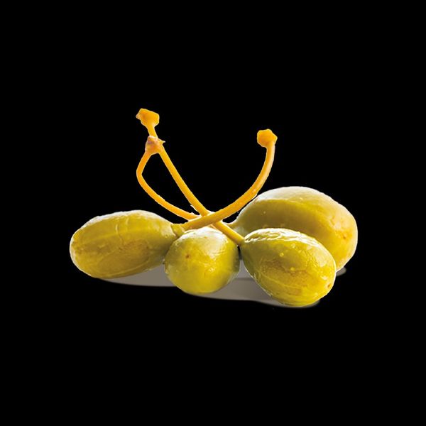 Caper berries from 이탈리아 supplied by Fox Italia - High Quality 케이퍼