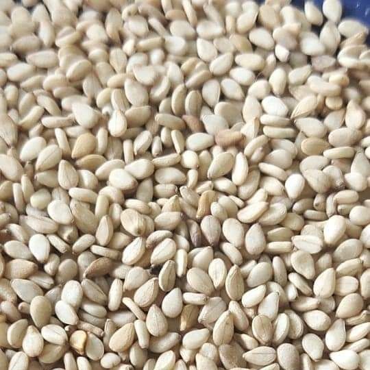 Seseme Seed from 나이지리아 supplied by Blackrose interbiz investment Ltd - 6% 참깨