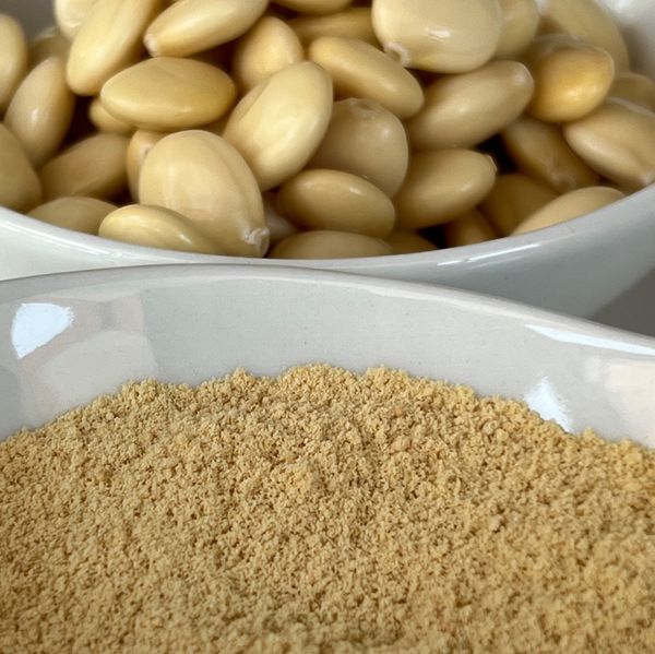 Lupin Powder ( Hydrolized) from 에콰도르 supplied by DLIP Industrial - Chocho (=Andean Lupin) 루핀
