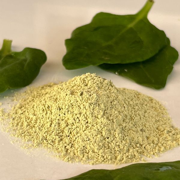 Spinach Powder from Ecuador supplied by DLIP Industrial - Dried - SD (Spray Drying) Fresh Spinach