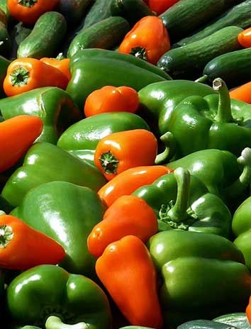 PAPRIKA from 대한민국 supplied by Tamjin Trading Co.,Ltd. - High Quality 신선 피망