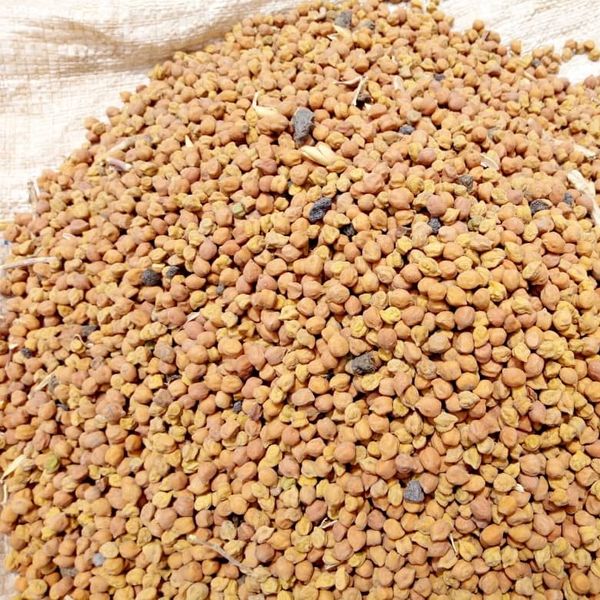 Desi Chickpeas from 탄자니아 supplied by AFRICA AGRICULTURE EXPORTERS (AAE) - Medium-Large 말린 병아리콩