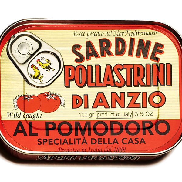 Sardine al Pomodoro from 이탈리아 supplied by Sardine Pollastrini Srl - Preserved - in Tomato Sauce 정어리 가공품