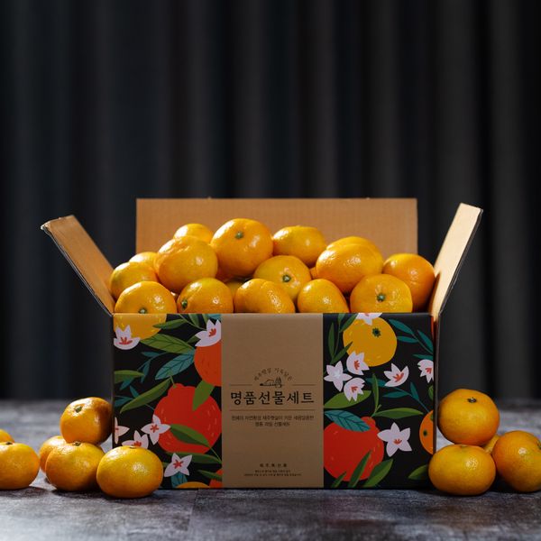 Citrus (Gamgyul) from 대한민국 supplied by SECOROM - Tangerine - Orri (=Or=Orr=Jaffa Orri) 신선 만다린