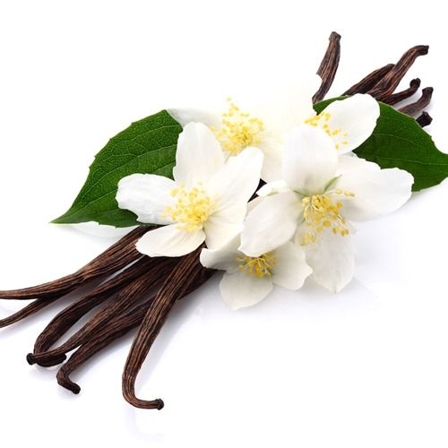 Fresh Vanilla Beans from 우간다 supplied by Kingsmarque International Limited - Dried 바닐라