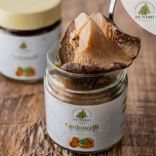 Cardoncelli mushrooms from 이탈리아 supplied by Agricola Di Niso - 버섯 가공품