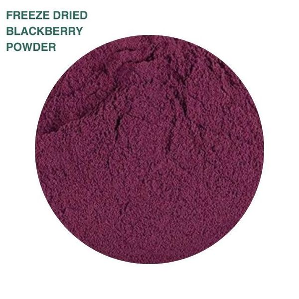 Freeze Dried Blackberry Powder from 이탈리아 supplied by OPI FRUTTA - Powder 건조 블랙베리