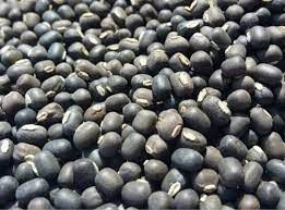 Black Matpe from 인도 supplied by Asian Tea and Exports Ltd. - 말린 흑녹두