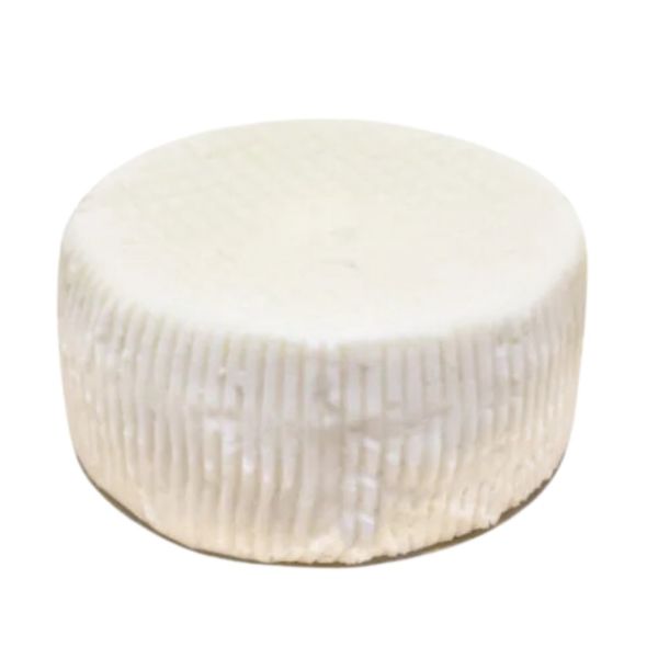 Cow's Milk Cacioricotta from Italy supplied by Consorzio Gourm.it - Other Cheese