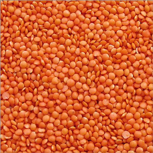 Red Lentils from 인도 supplied by Asian Tea and Exports Ltd. - 말린 렌틸