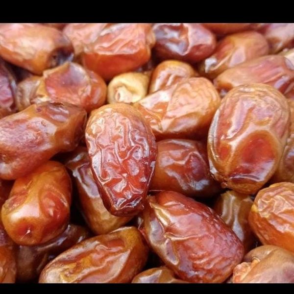 Siwa Semi-Dried Date from 이집트 supplied by Nile Trading - 이집트 와하티 말린 대추야자