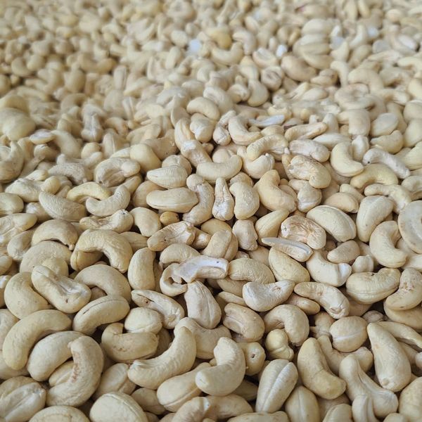 Organic Cashew Nut Kernel from Vietnam supplied by BIOVALLEY VIET NAM JOINT STOCK COMPANY - Creamy White Cashew Nut Kernel