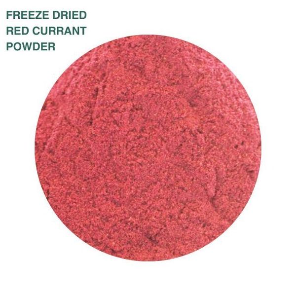 Freeze Dried Red Currant Powder from 이탈리아 supplied by OPI FRUTTA - 크러시드 기타 말린 과일