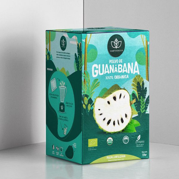 Guanabana(Vitafruit) Powder from Ecuador supplied by BioAgro - Dried Soursop