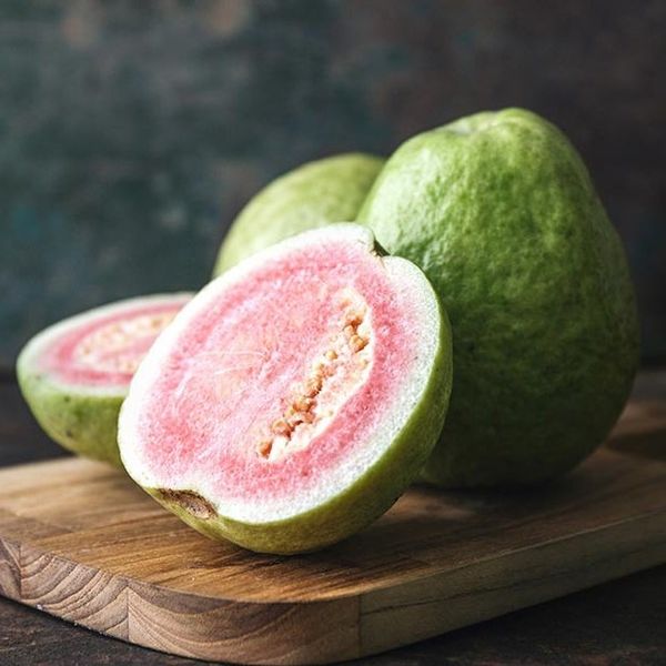 Fresh Red Guava Fruit from Vietnam supplied by AGRIHUB - Size: 8-9 Fresh Guava