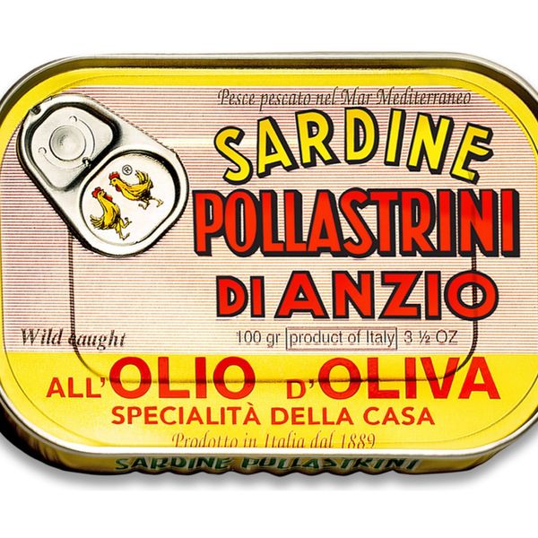 Sardine all'Olio di Oliva from 이탈리아 supplied by Sardine Pollastrini Srl - Canned Sardine with vegetable oil 정어리 가공품