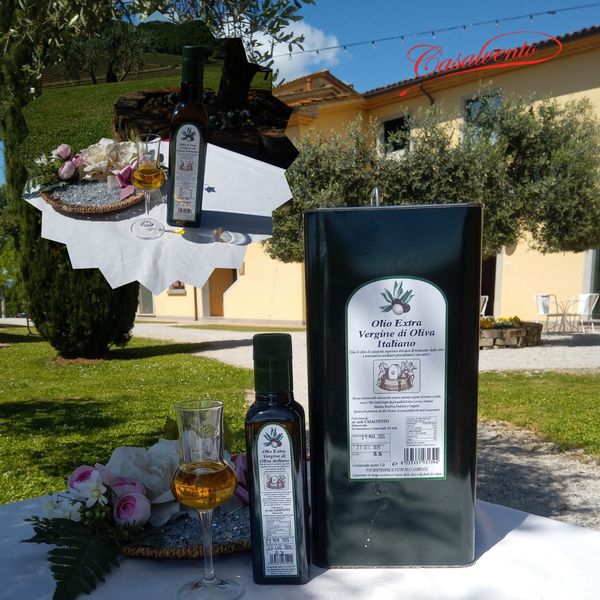 EXTRA VIRGIN OLIVE OIL TOSCANA from Italy supplied by Az.Agr. Casalvento di Baronti Aldo - golden green Olive Oil