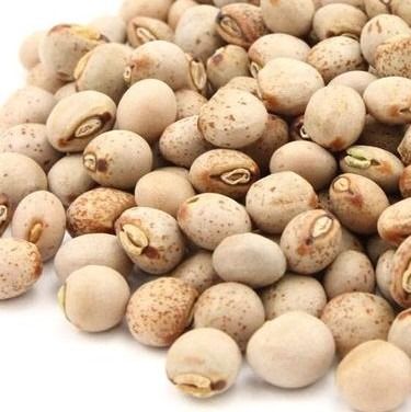 Pigeon peas from 탄자니아 supplied by AFRICA AGRICULTURE EXPORTERS (AAE) - Raw (=Natural) 말린 비둘기콩