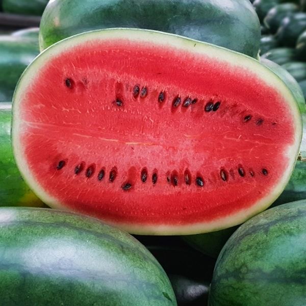 Fresh Watermelon from 베트남 supplied by AGRIHUB - Round 신선 수박