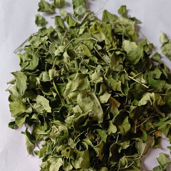 MORINGA LEAVES from 나이지리아 supplied by GUM ARABIC COMPANY NIGERIA - Premium Quality 모링가