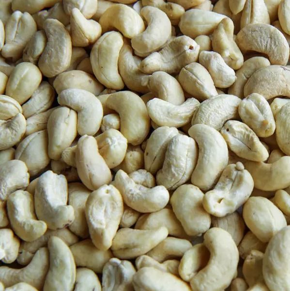 Cashew Nuts from 인도 supplied by Asian Tea and Exports Ltd. - 캐슈너트 알맹이