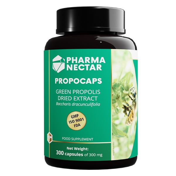 PROPOCAPS GREEN PROPOLIS DRIED EXTRACT 300 mg from 브라질 supplied by Pharmanectar - High Quality 프로폴리스