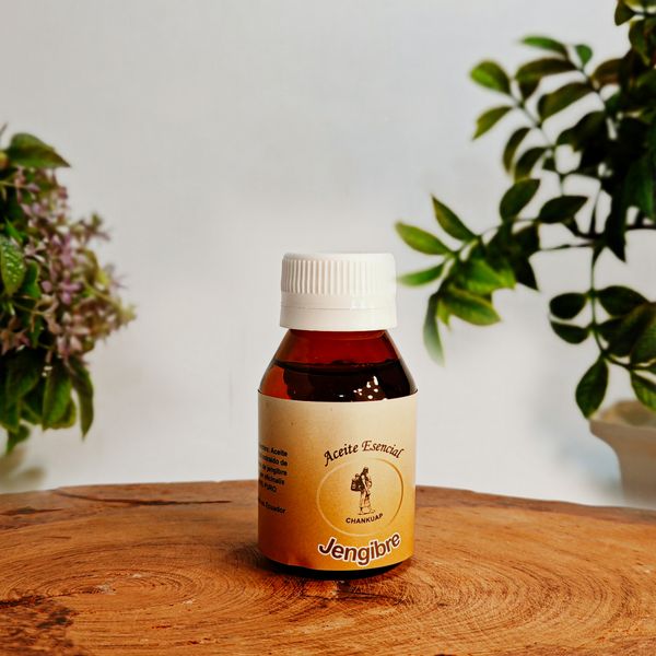 Organic Ginger Essential Oil from 에콰도르 supplied by Fundacion Chankuap - Medium 진저 오일