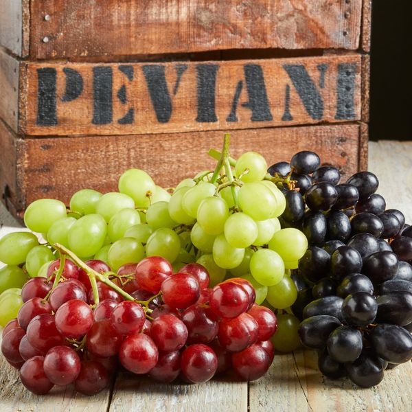 Seedless Grapes from Italy supplied by PEVIANI SPA - Fresh Grape