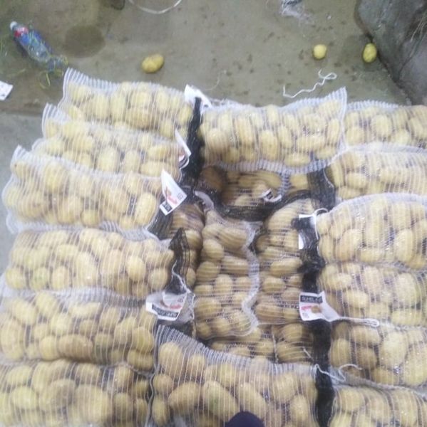 Fresh Potato from 파키스탄 supplied by UNIVERSAL ENTERPRISE - 노지 신선 일반 감자