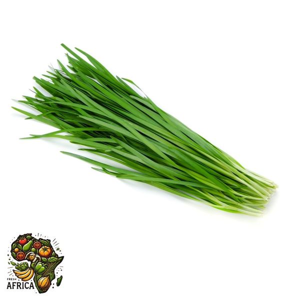 Chives from Kenya supplied by GOTFruit - Stem Aromatic Herbs