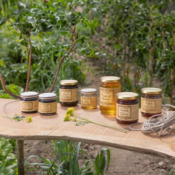 Cheese and honey mustards from 이탈리아 supplied by La Favorita Live S.r.l. - 머스터드 소스