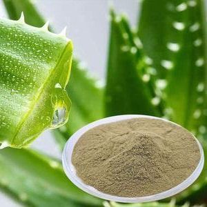 Aloe Vera Powder from Vietnam supplied by AGRIHUB - High Quality Instant Powder Drink