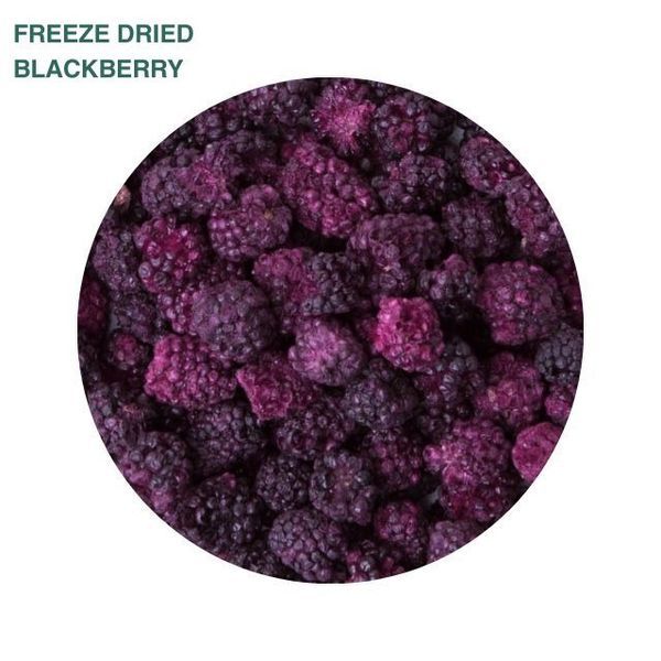 Freeze Dried Blackberry (Whole) from 이탈리아 supplied by OPI FRUTTA - Whole & Broken 건조 블랙베리