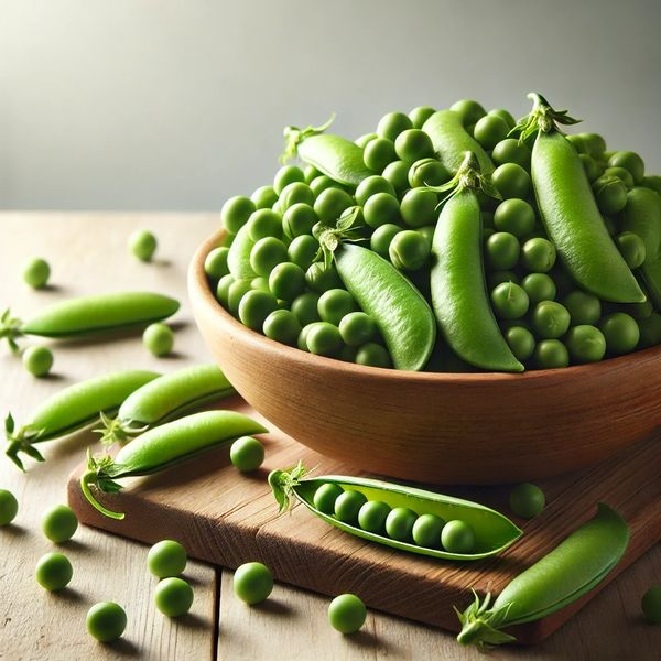 Garden Pea from 미얀마 [버마] supplied by Myanmar Agricultural Corporation - 말린 완두