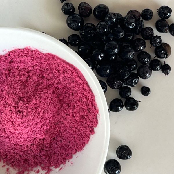 Andean Berry Powder from 에콰도르 supplied by DLIP Industrial - SD(분무 건조) 건조 블루베리