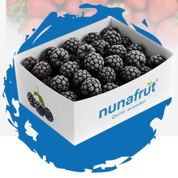 Frozen IQF Fruit from 에콰도르 supplied by Nunafrut SA - 냉동 용과