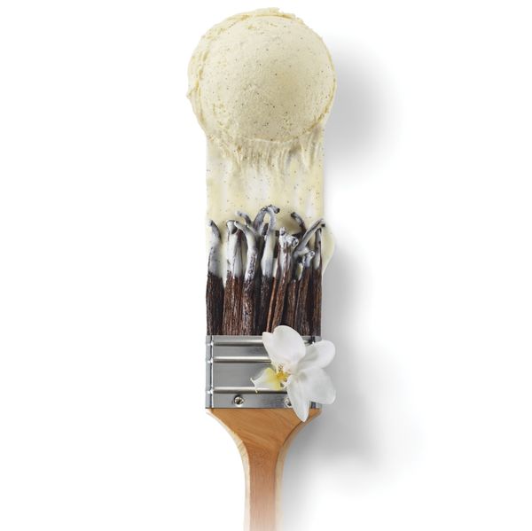 Vanilla Madagascar pods fresh milk ice cream from France supplied by La Compagnie Des Desserts - Ice Cream