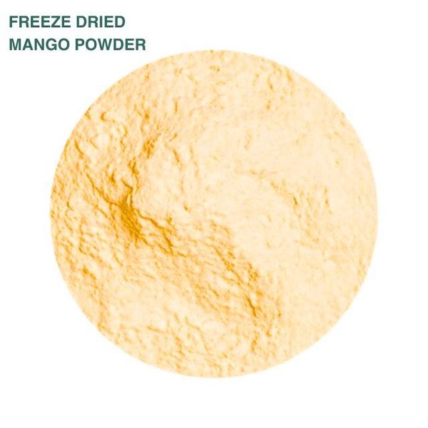 Freeze Dried Mango Powder from 인도 supplied by OPI FRUTTA - Dried 말린 망고