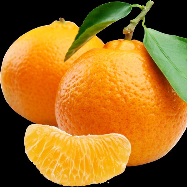 Mandarin from 남아프리카공화국 supplied by AMAY SOURCING SOLUTION - Caliber 4 (50-54 mm) 신선 만다린