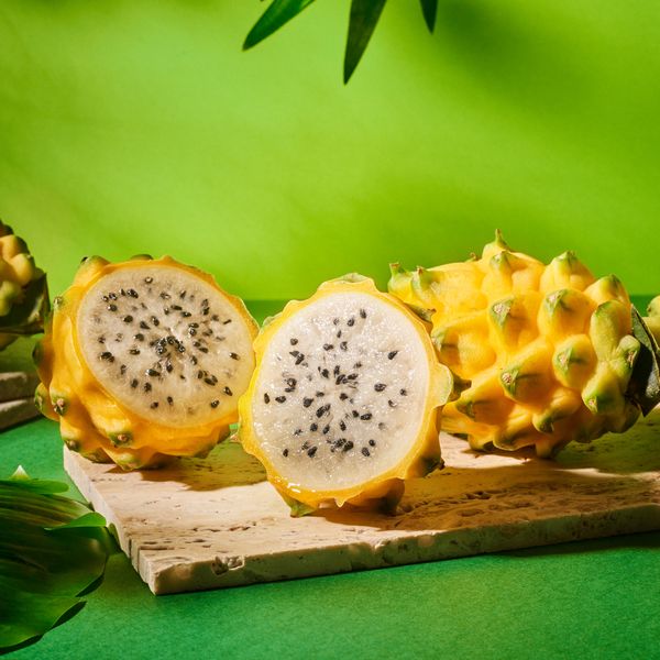 PITAHAYA / DRAGON FRUIT from 에콰도르 supplied by TE DEL ECUADOR CETCA - Yellow Flesh 신선 용과