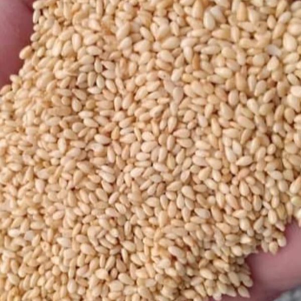 Sesame Seeds - All Categories Available from 이집트 supplied by Marryat and Scott for General Trade - 생 참깨