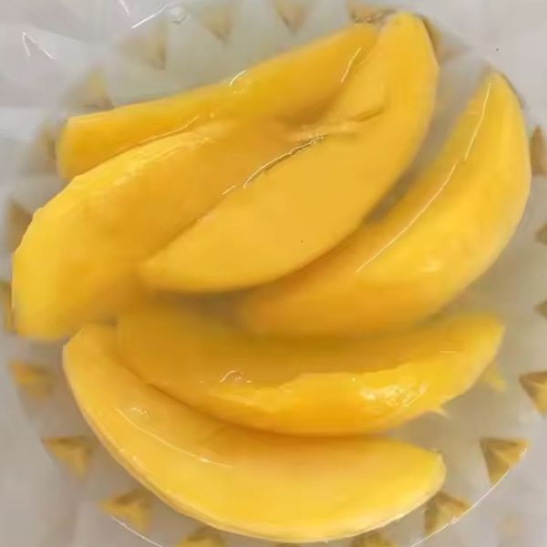 CANNED MANGO SLICES IN SYRUP from 베트남 supplied by Ban Mai Co., Ltd - No additives 망고 가공품