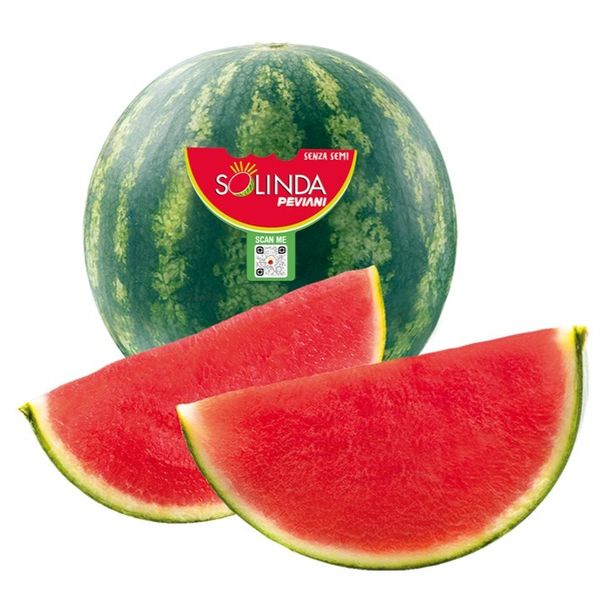 Seedless Watermelon from Italy supplied by PEVIANI SPA - Fresh Watermelon