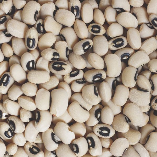 Black-Eyed Peas from Ivory Coast supplied by SAYAD TRADING COMPANY - Long Value Added Peas