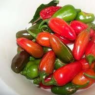 Peppers from 이집트 supplied by Nile Trading - Glazed (=Candied) 통조림 또는 병에 든 할라피뇨