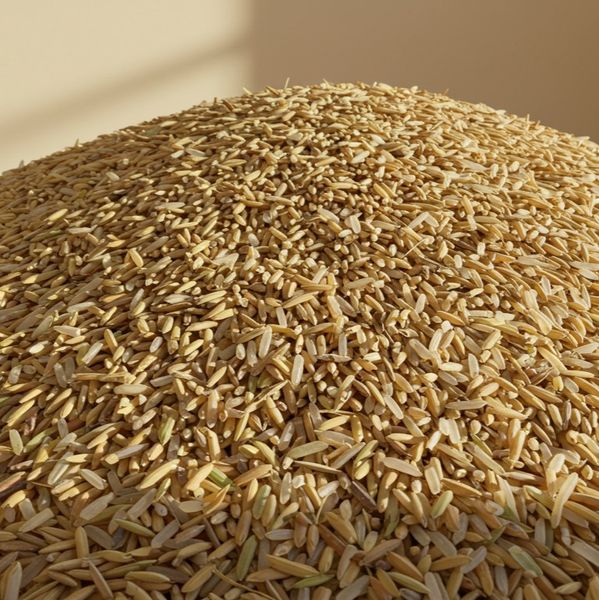 Raw Unpolished Rice from 가나 supplied by Sommalife - Fresh 쌀