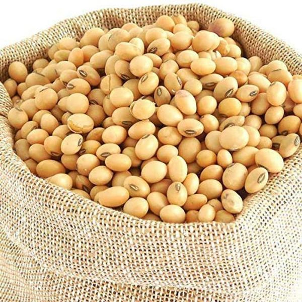 Soybean from Nigeria supplied by Artesana Ventures Limited - Golden Yellow Soybean