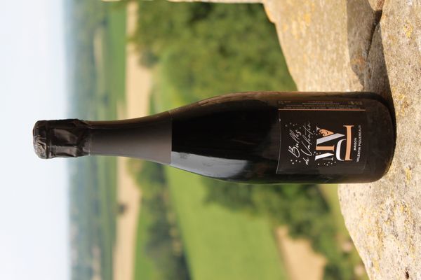 SPARKLING RED WINE - BULLES DE VALENTIN from 프랑스 supplied by Maison Valentin Piquereaux - Merlot 스파클링 와인